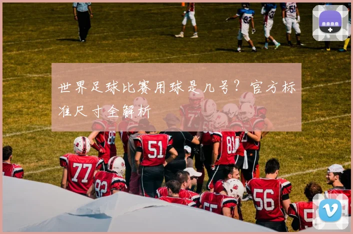 世界足球比赛用球是几号?官方标准尺寸全解析
