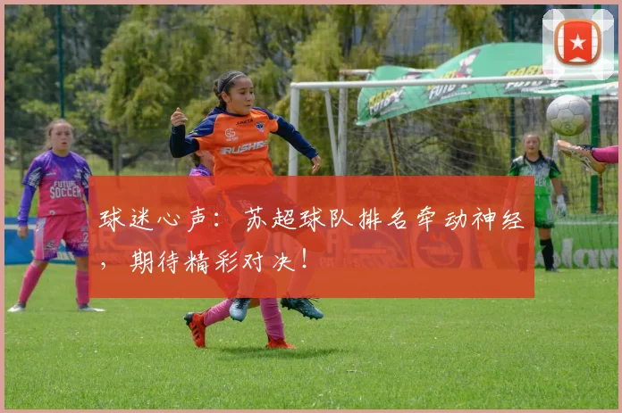 球迷心声：苏超球队排名牵动神经，期待精彩对决！